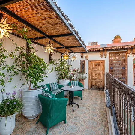 Riad Yamina52-3