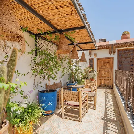 Riad Yamina52-3